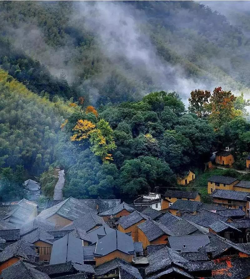 道天录0氪阵容搭配游戏画面
